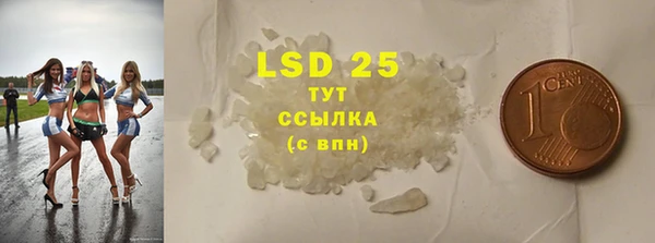ПСИЛОЦИБИНОВЫЕ ГРИБЫ Абаза