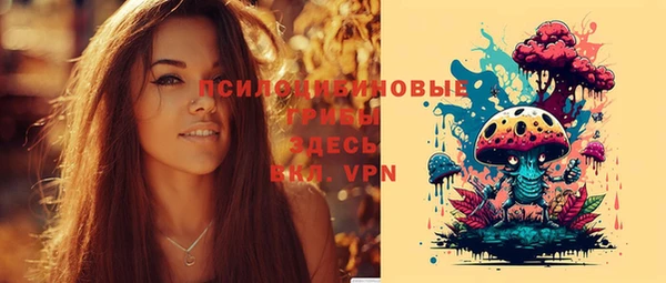 хмурый Абинск