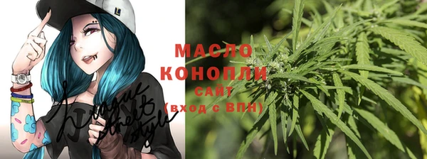 тгк Михайлов