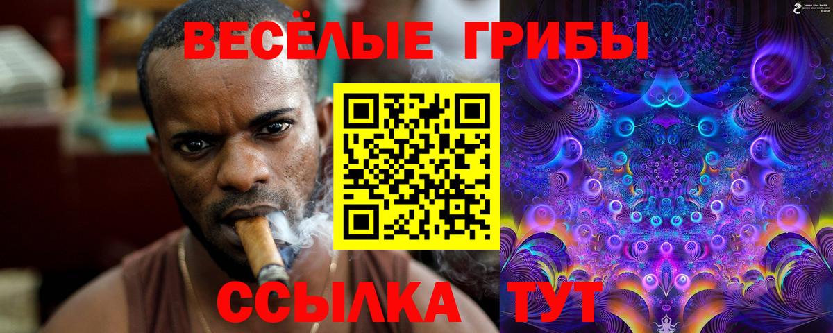 Псилоцибиновые грибы Psilocybine cubensis  купить  сайты  Хасавюрт  Вход с VPN 