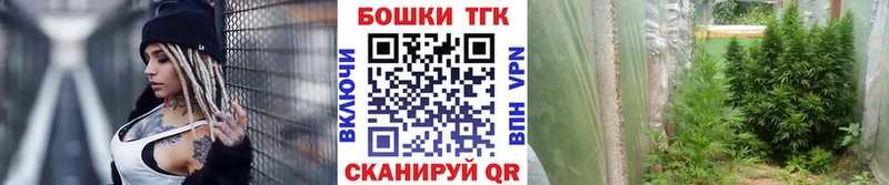 Шишки марихуана тримм  где купить   Хасавюрт 